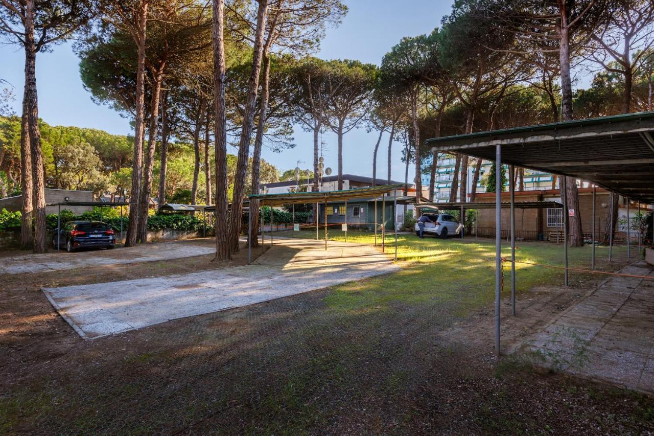 Picobello Pineta